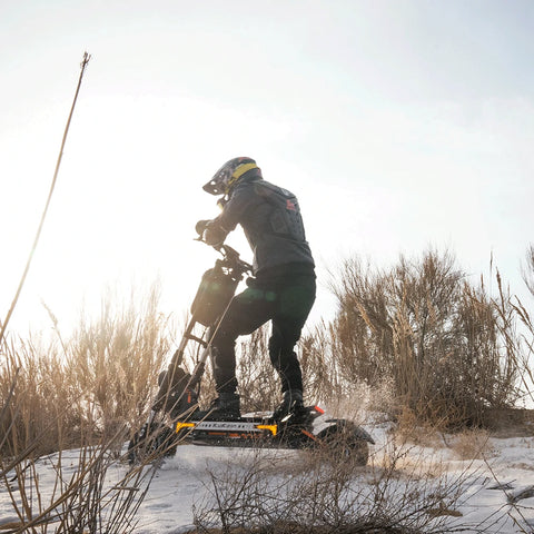 Dual Motor E‑Scooters